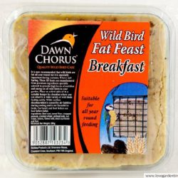 Fat Feast Breakfast