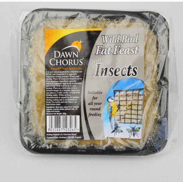 Fat Feast Insects