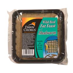 Fat Feast Mealworm