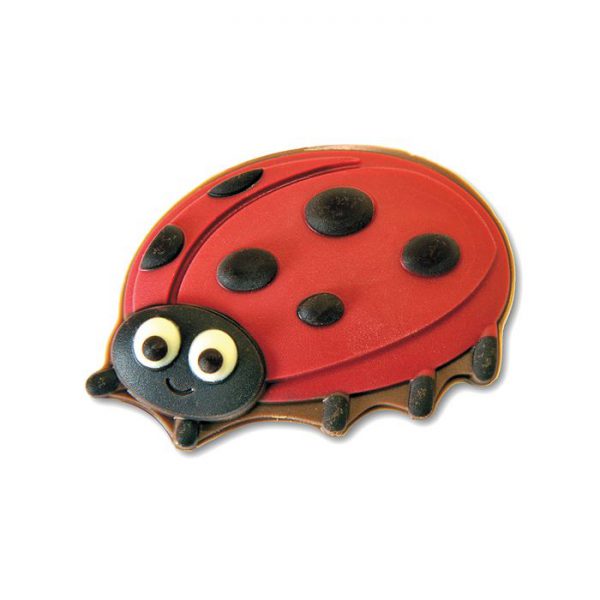 XE Gwynedd Ladybird Choc