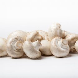 Close Cup Mushrooms