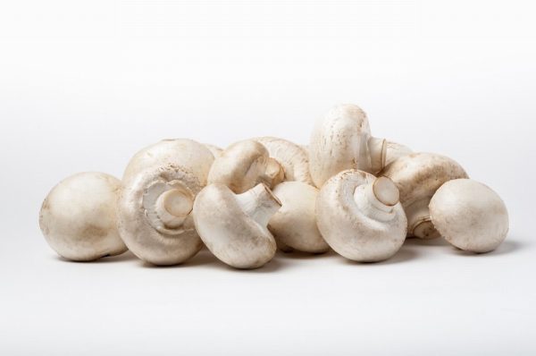 Close Cup Mushrooms