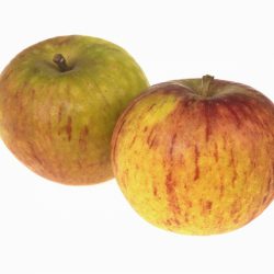 Cox Apples