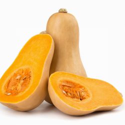 Butternut Squash Class 1