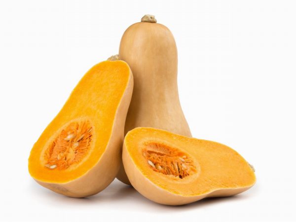 Butternut Squash Class 1