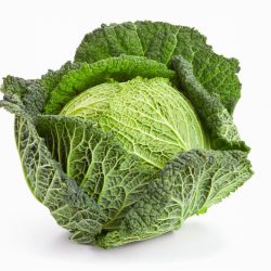 Savoy Cabbage