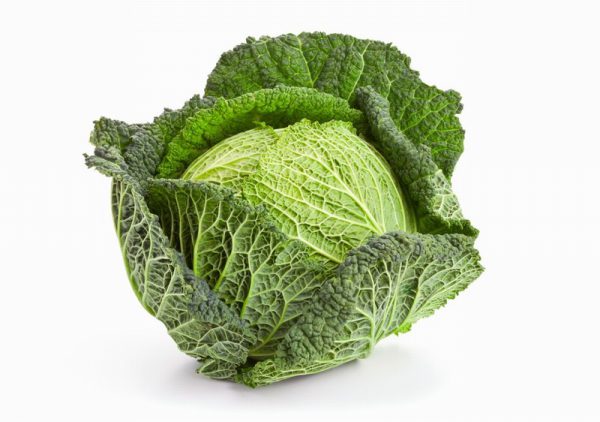 Savoy Cabbage