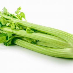 Celery