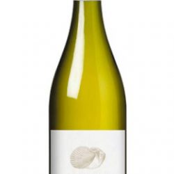 ZDL Coquille de Mer Vermantino