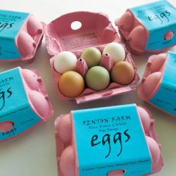 Mixed Free Range Eggs