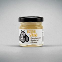 British Spring Honey 42g