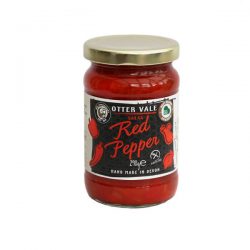 Red Pepper Salsa 300g