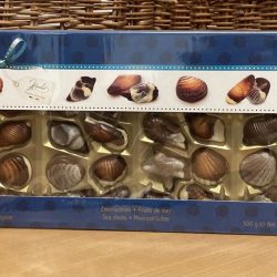 XM Hamlet Sea Shells Large