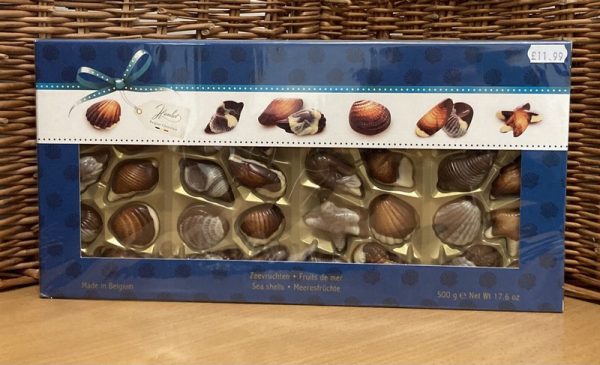 XM Hamlet Sea Shells Large