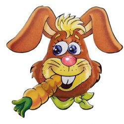 XE Storz Carrot Cruncher