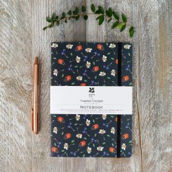 A5 Ladybird Note Book