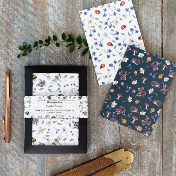 Explore & Treasure 8 Mixed Notecards