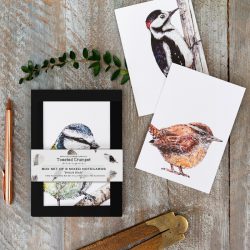 British Birds 8 Mixed Notecards