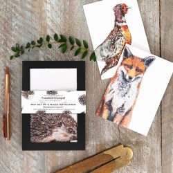 Woodland Creatures 8 Mixed Notecards