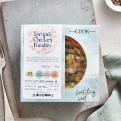 ZDL Teriyaki Chicken Noodles Pot (1)