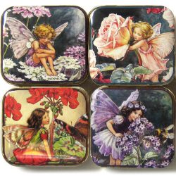 Flower Fairies Tin