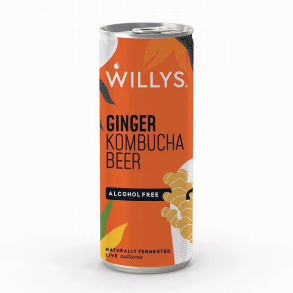 Willy's Ginger Kombucha A Free Beer 250ml